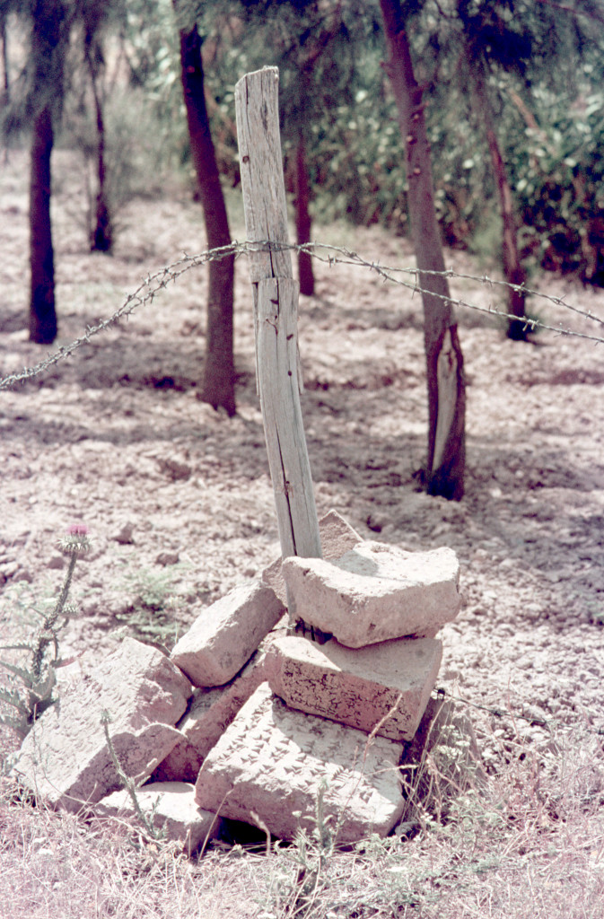 Tavolette con Scrittura Cuneiforme usate per tenere la recinzione.
